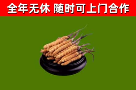 溪湖烟酒回收冬虫夏草.jpg